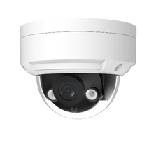 Lade das Bild in den Galerie-Viewer, Überwachungskamera DD07 von Eagle Eye Networks